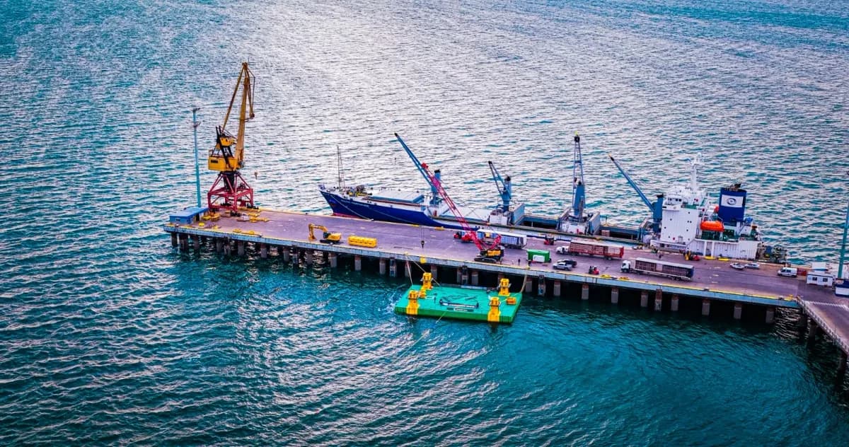 VMOS ultima obra marina; exportación en enero 2027