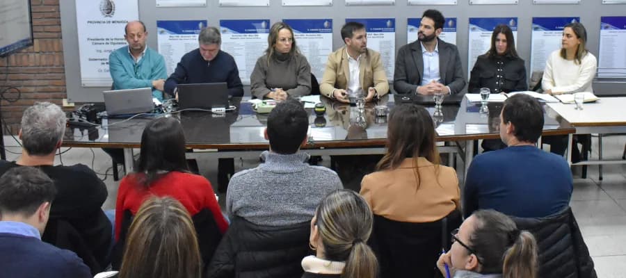 Mendoza analiza impacto ambiental de Don Luis