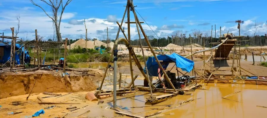 Perú prepara ley para controlar plantas de oro