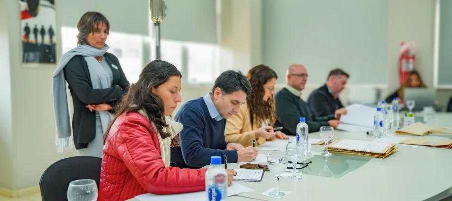 Cinco empresas compiten por áreas mineras en San Juan