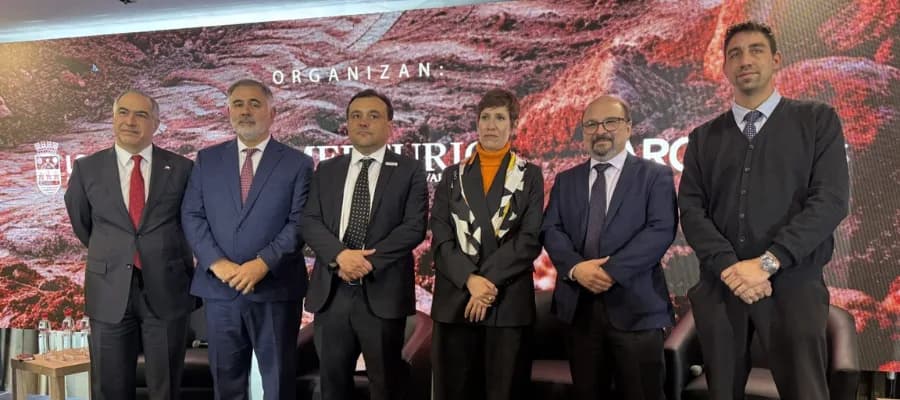 Mendoza y Chile articulan agenda minera