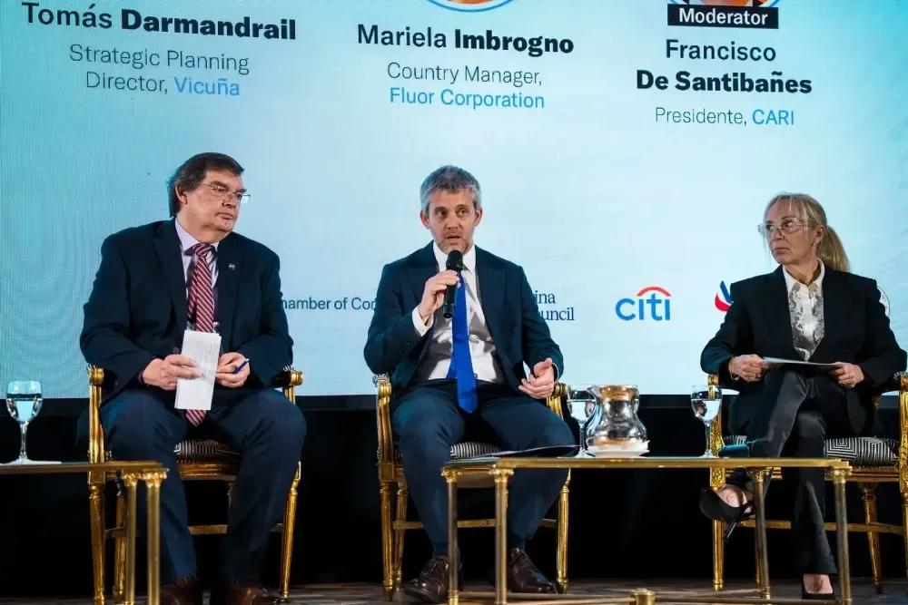 Vicuña: infraestructura, proyecto en sí mismo
