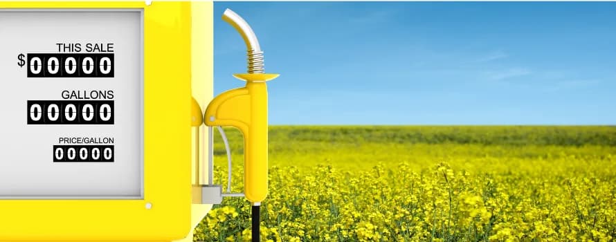 Argentina restablece corte de biodiesel al 7,5%